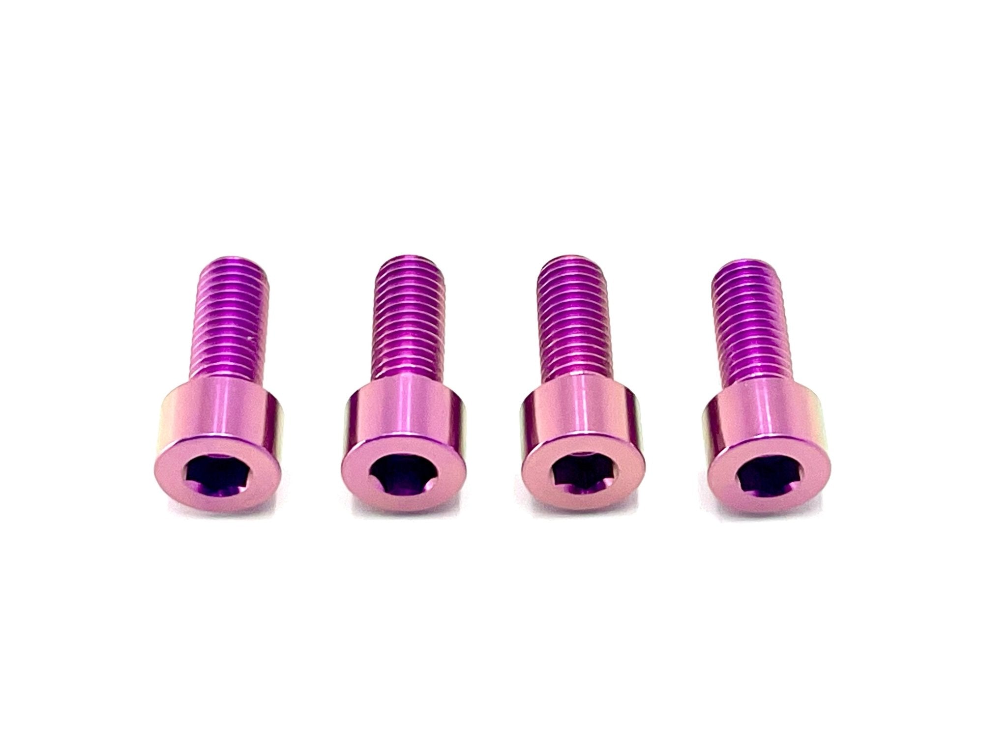 Titanium Bash Guard/ Skid Plate Bolts - Surron LBX & E-Ride Pro