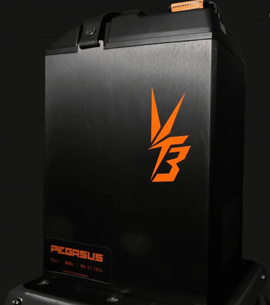 Ventus Ultra Bee Battery 96V 56AH