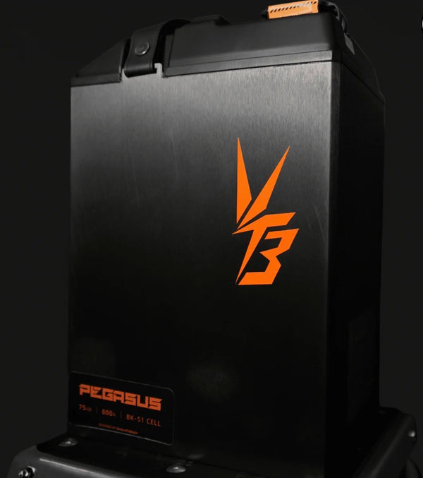 Ventus Ultra Bee Battery 96V 56AH