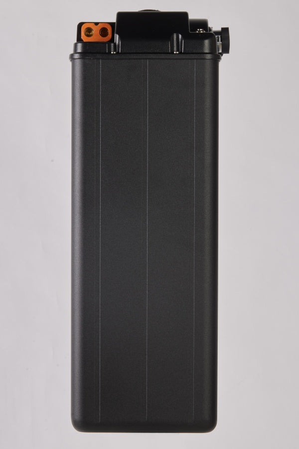 74V 45AH Surron Light Bee Battery