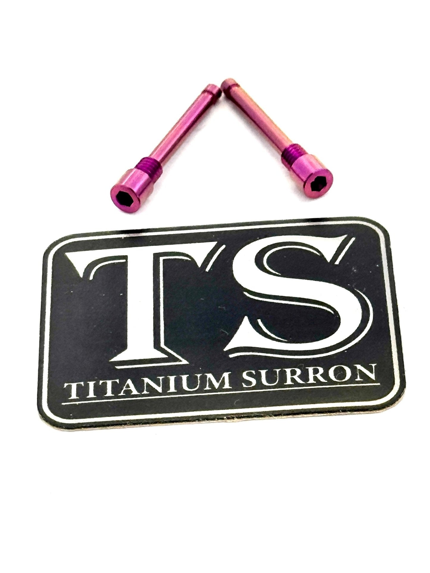 Brake-Pad Screws/ Pins - E-moto (Set of 2)